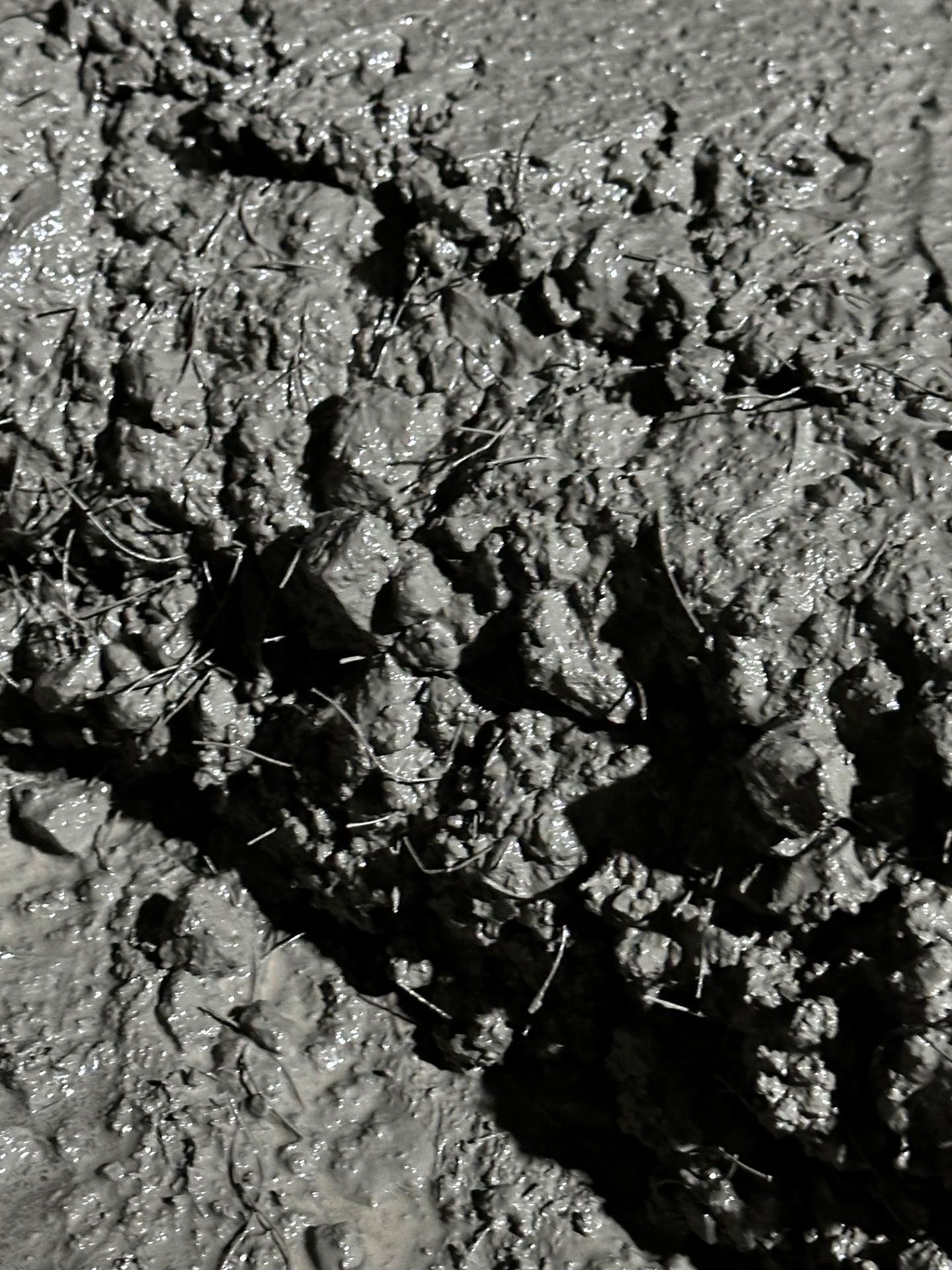 fiber donatılı beton